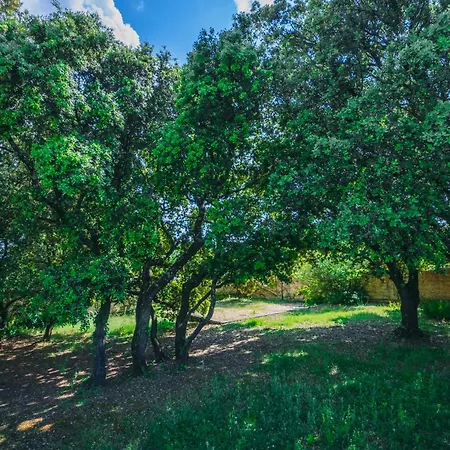 Magnifique Provencale Avec Piscine Et Jardin * Pouzilhac