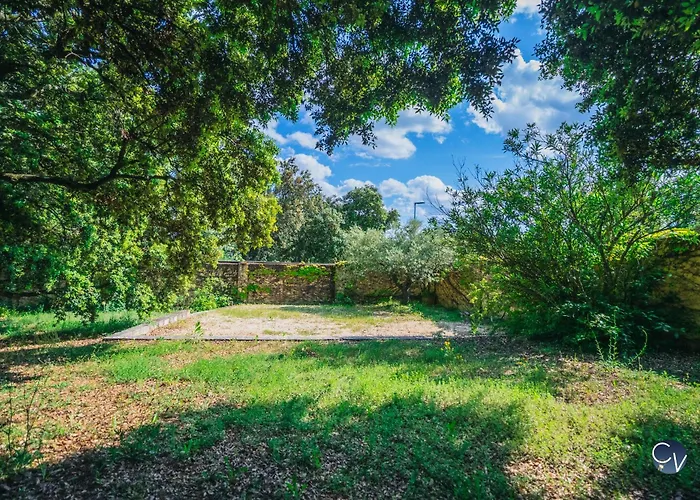 Villa Magnifique Provencale Avec Piscine Et Jardin *