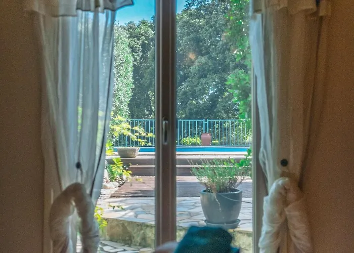Magnifique Provencale Avec Piscine Et Jardin