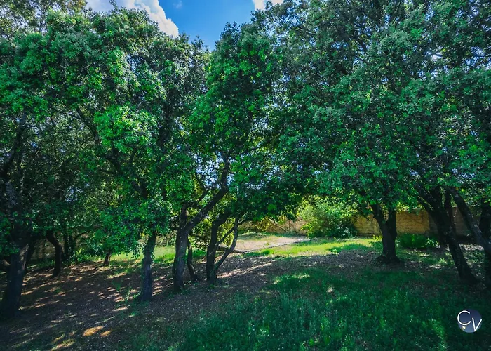Magnifique Provencale Avec Piscine Et Jardin * Pouzilhac